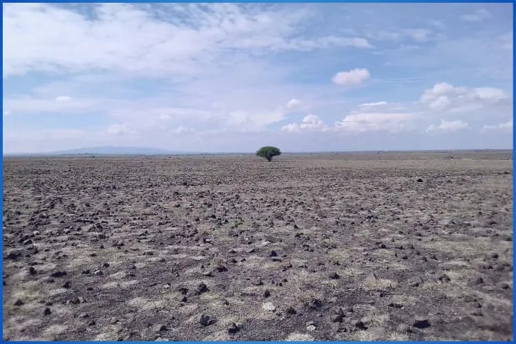 मौसम की परिस्थितियों को प्रभावित करने वाले कारण